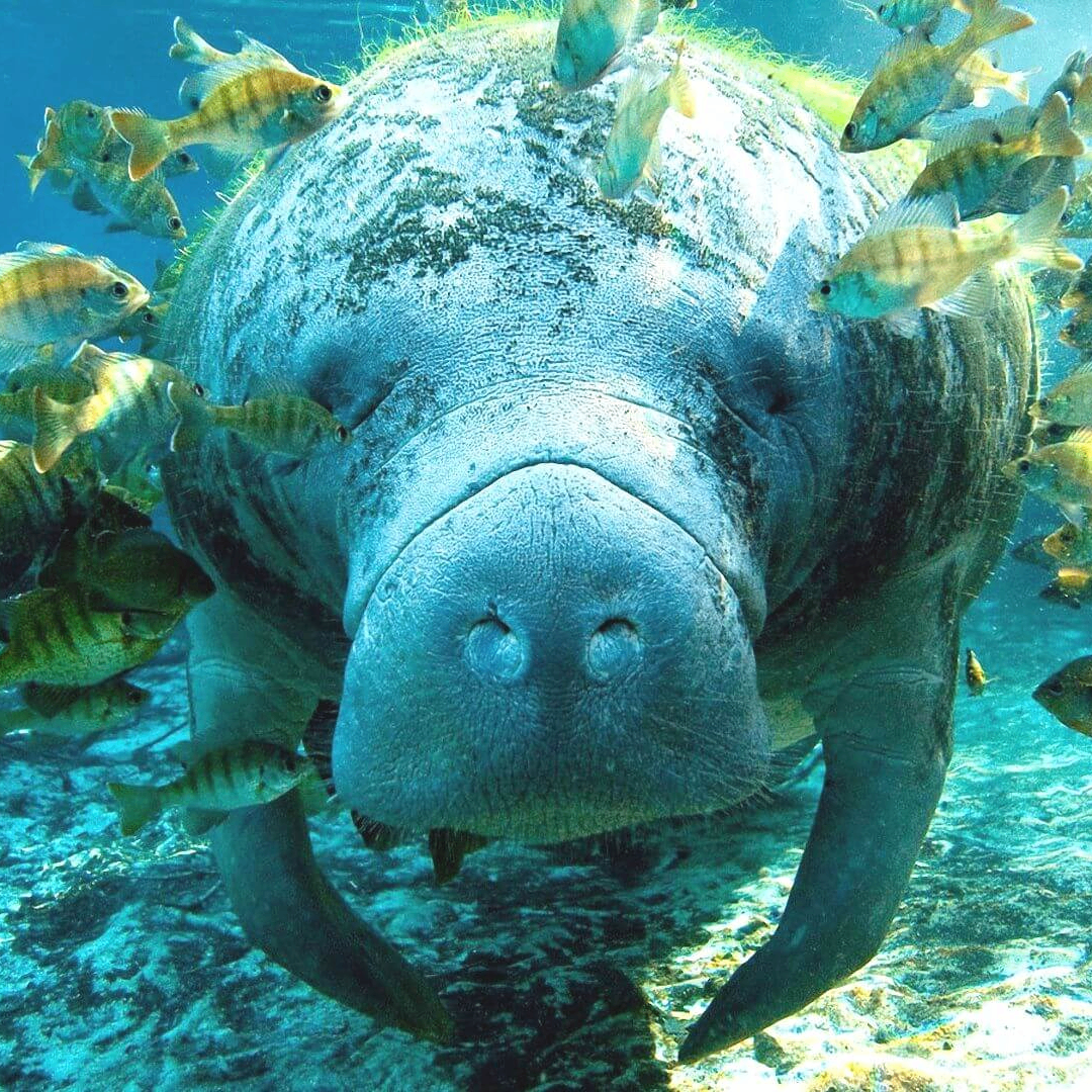 Andrejkozulin35 (andrejkozulin35.lens) Lens social identity (.lens handle) PFP